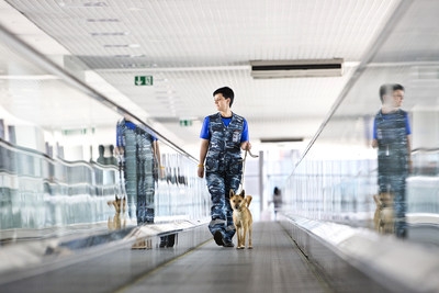 Aeroflot tiene su propia raza de perros olfateadores